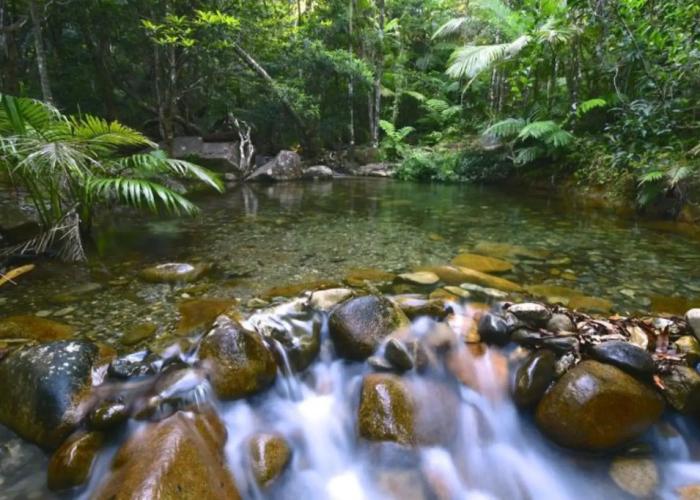 Daintree Cascades