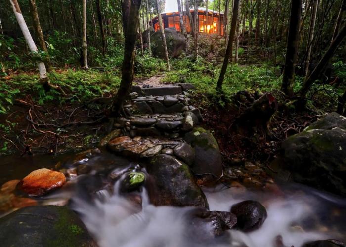 Daintree Cascades