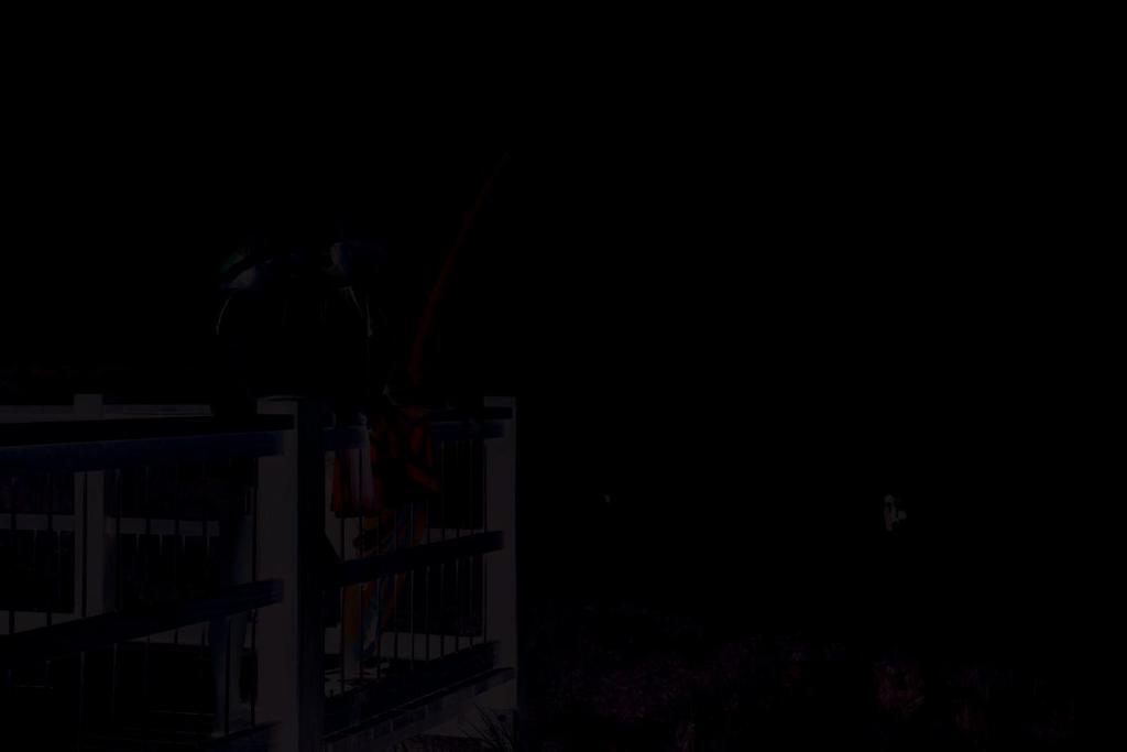 NRMA Darlington Beach Holiday Resort