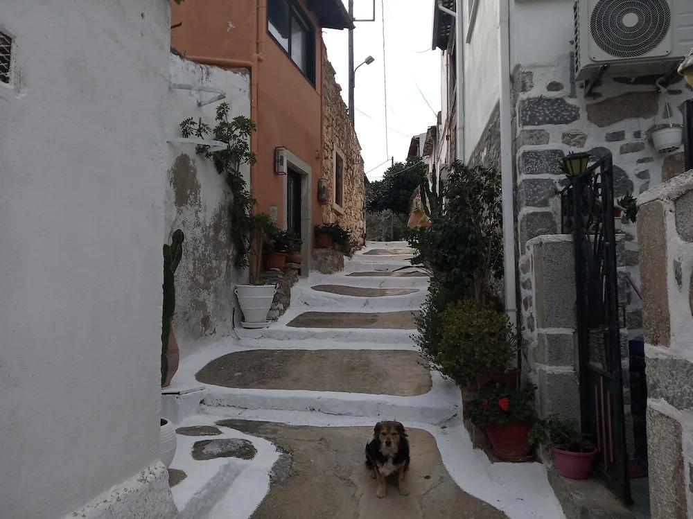 Nektarios Village House Near to Spinaloga