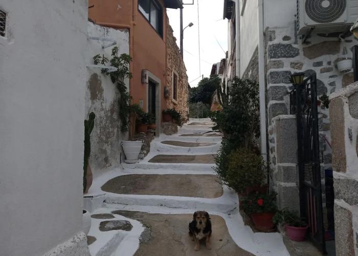 Nektarios Village House Near to Spinaloga