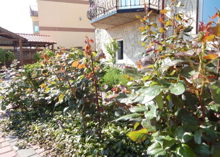 Villa Eva Guest house