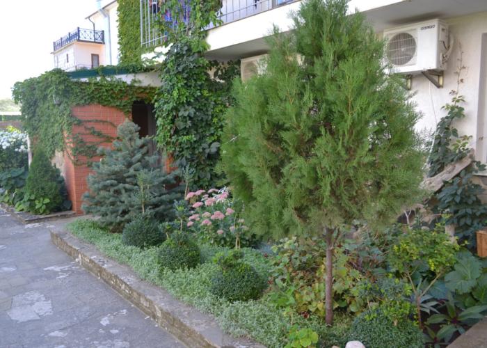 Hotel Loza