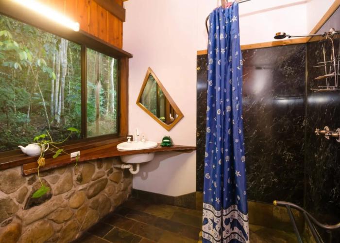 The Epiphyte Bed & Breakfast