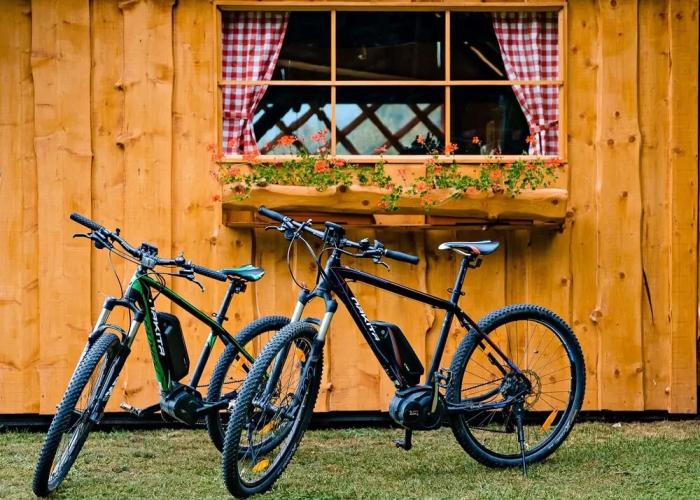 Glamping FOREST EDGE