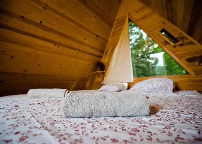 Glamping FOREST EDGE