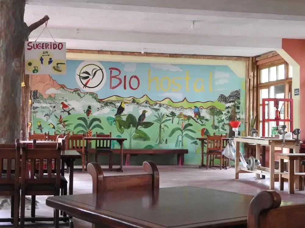 фото Biohostal Mindo Cloud Forest