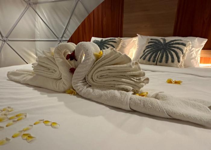 Glamping @ Pebbles & Fins by ZUZU