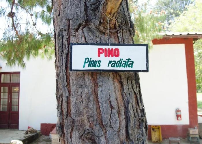 Centro Vacacional Huaychulo