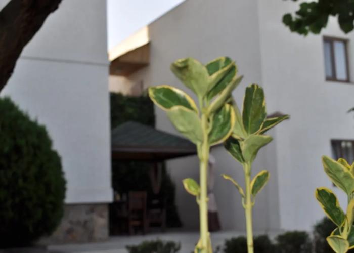Olga Hotel