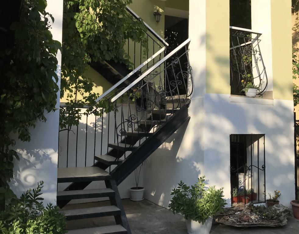 фото Malibu