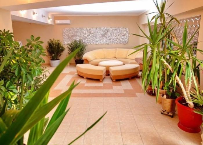 Meduza Club Hotel
