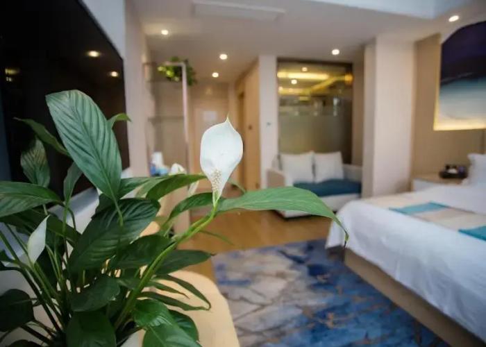 VX Heze Dingtao District Taoyi Road Hotel