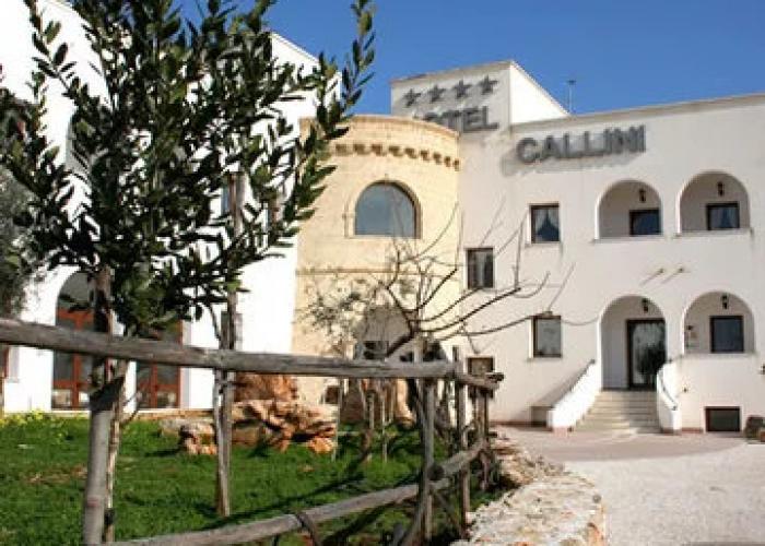 Monte Callini
