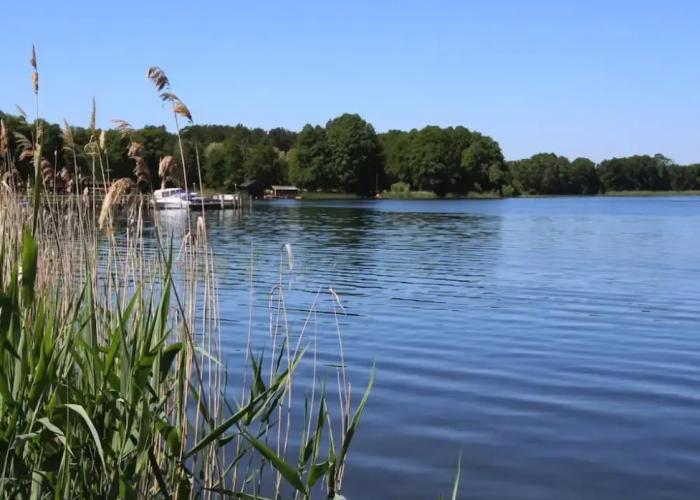 Ferienhaus am Vilzsee in Mirow