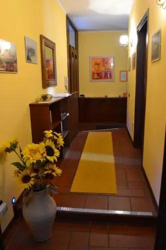 B&B Orio BGY