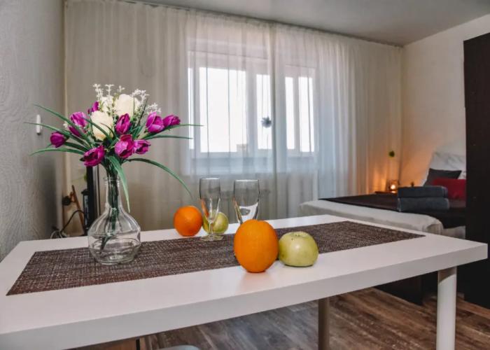 One-room RusDom  in the city center Apartments