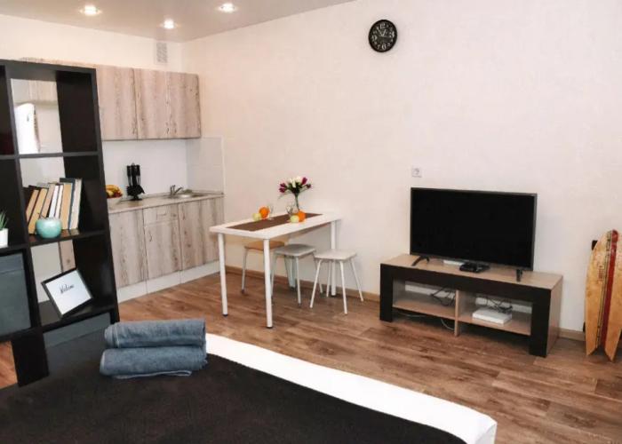 One-room RusDom  in the city center Apartments