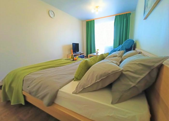 One-room RusDom near the recreation center Rodina Apartments