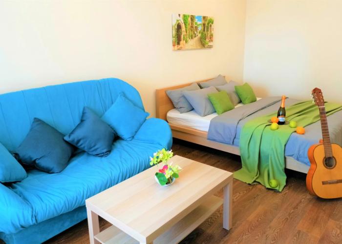 One-room RusDom near the recreation center Rodina Apartments