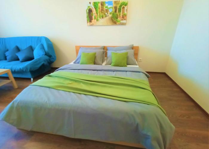 One-room RusDom near the recreation center Rodina Apartments