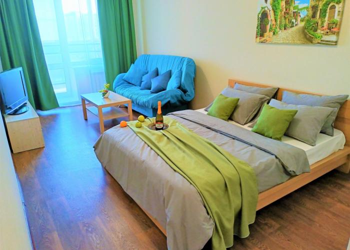 One-room RusDom near the recreation center Rodina Apartments