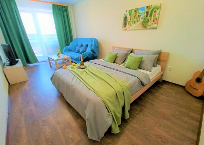 One-room RusDom near the recreation center Rodina Apartments