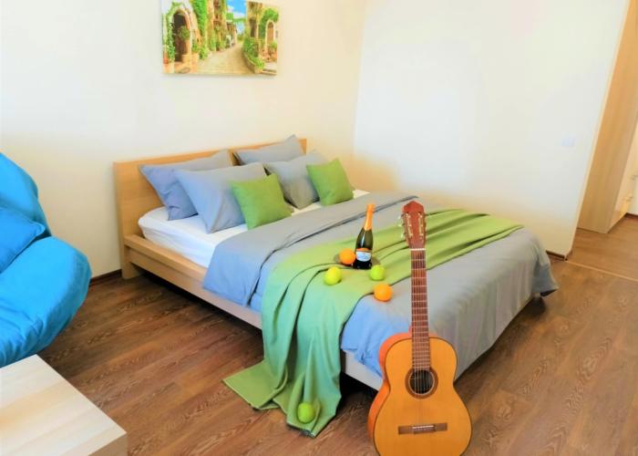 One-room RusDom near the recreation center Rodina Apartments