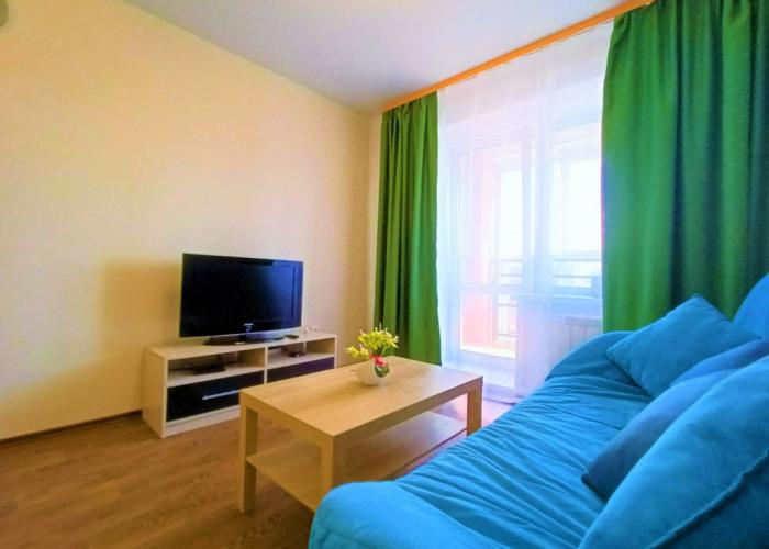 One-room RusDom near the recreation center Rodina Apartments