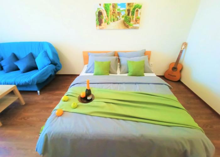 One-room RusDom near the recreation center Rodina Apartments