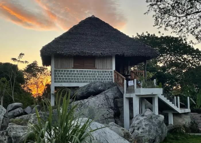 Coconut Lodge