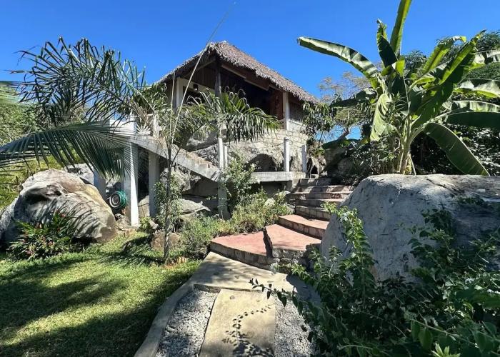 Coconut Lodge
