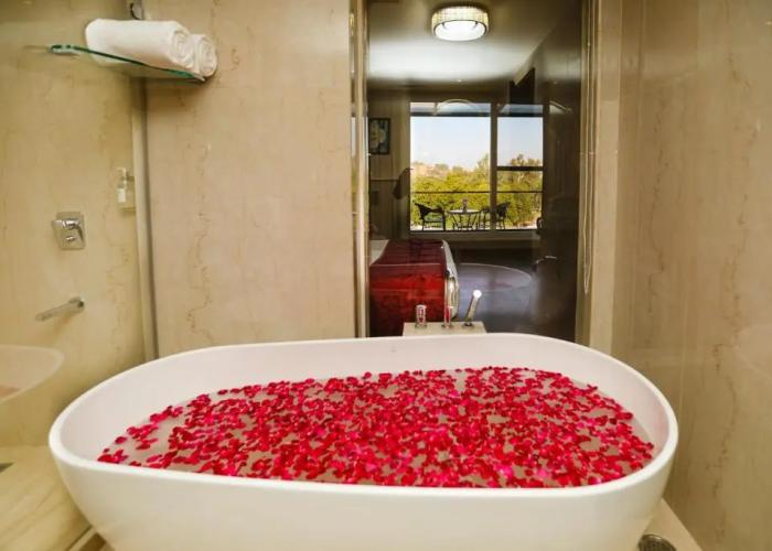 Regenta Place Jhansi by Royal Orchid Hotels Limited