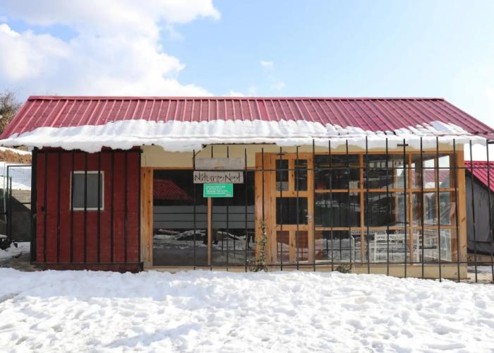 Nature Nest Eco Resort