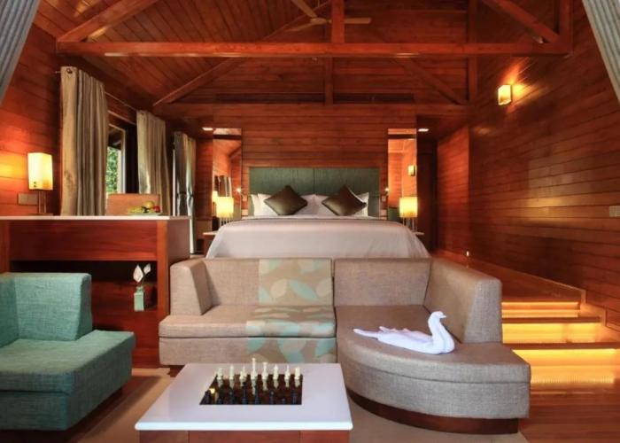 The Tamara Coorg
