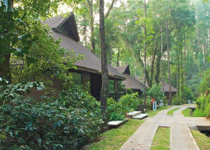 The Tamara Coorg