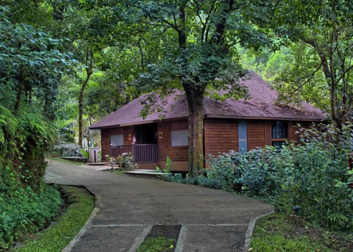 The Tamara Coorg