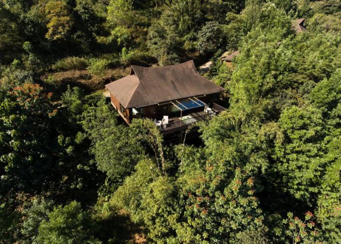 The Tamara Coorg