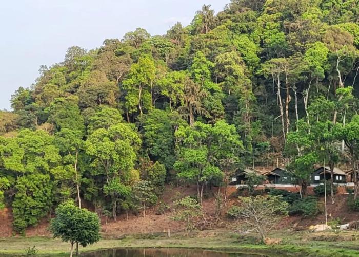 Three Hills Coorg