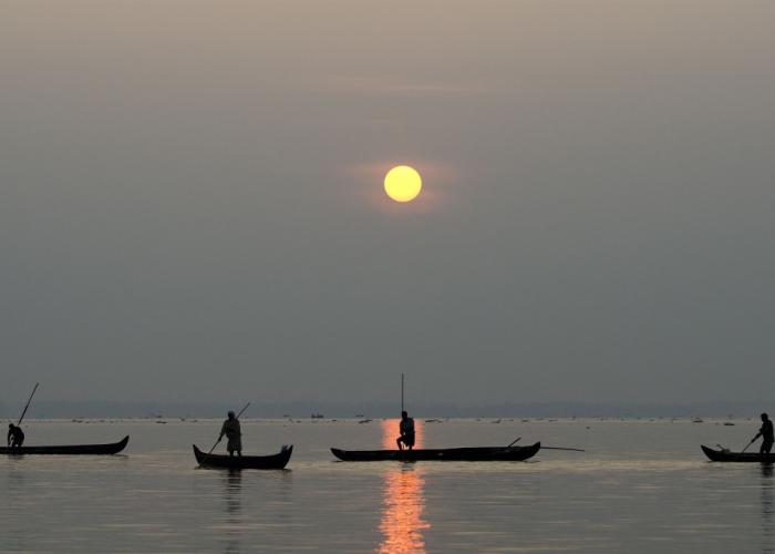 Purity at Lake Vembanad