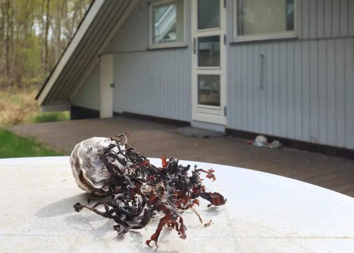 Comfortablle Holiday Home in Nordjylland near Sea