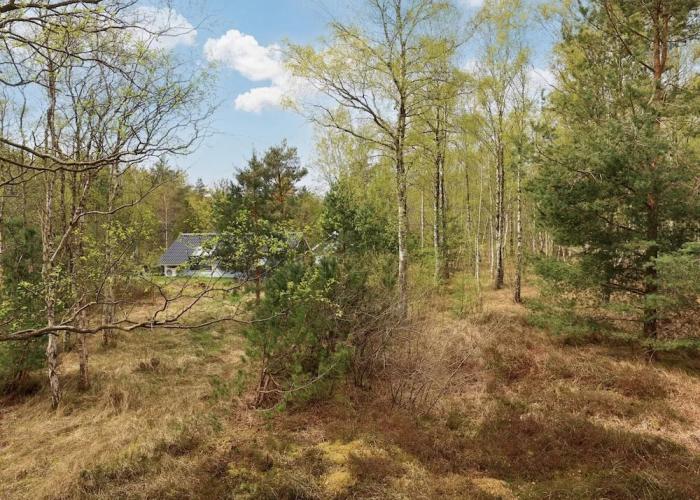 Comfortablle Holiday Home in Nordjylland near Sea