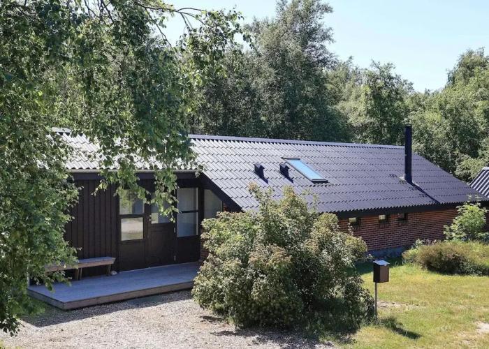 4 Person Holiday Home in Laeso