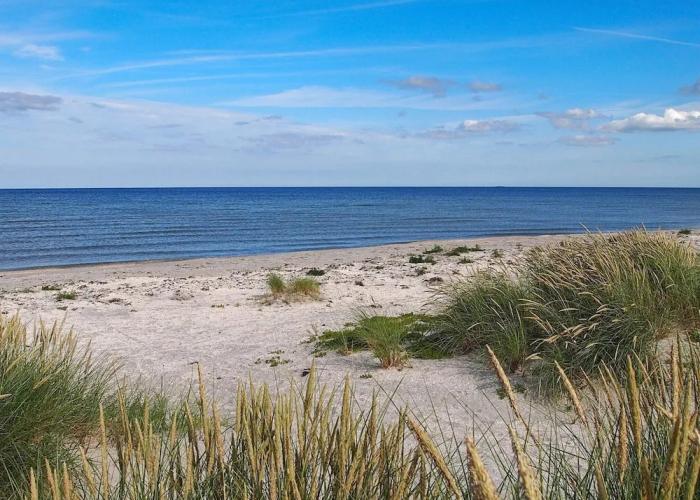 8 Person Holiday Home in Laeso