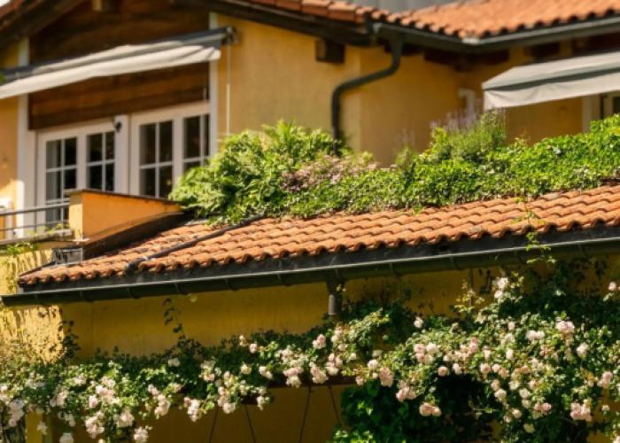 Albergo Losone