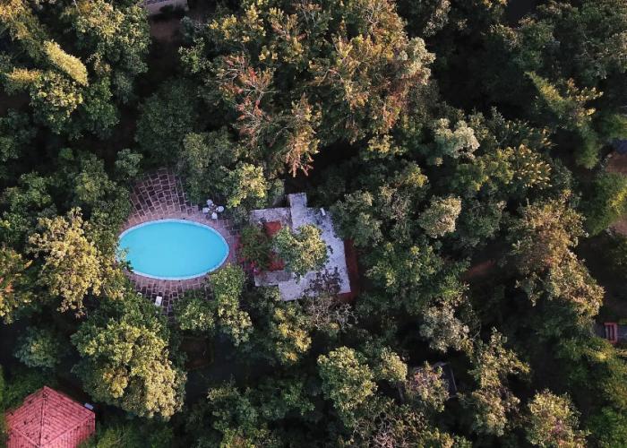 Pench Jungle Camp