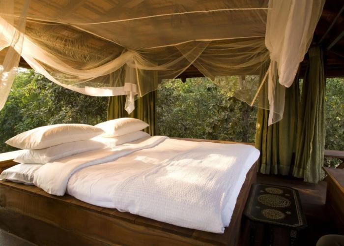 Baghvan, Pench National Park
