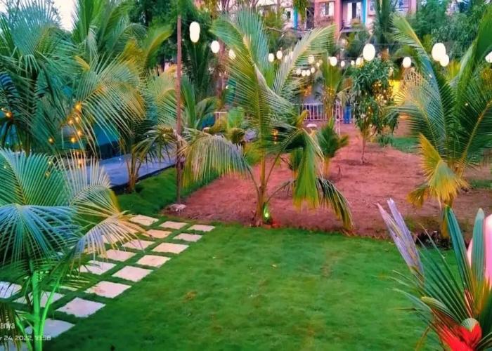Starlight Resort