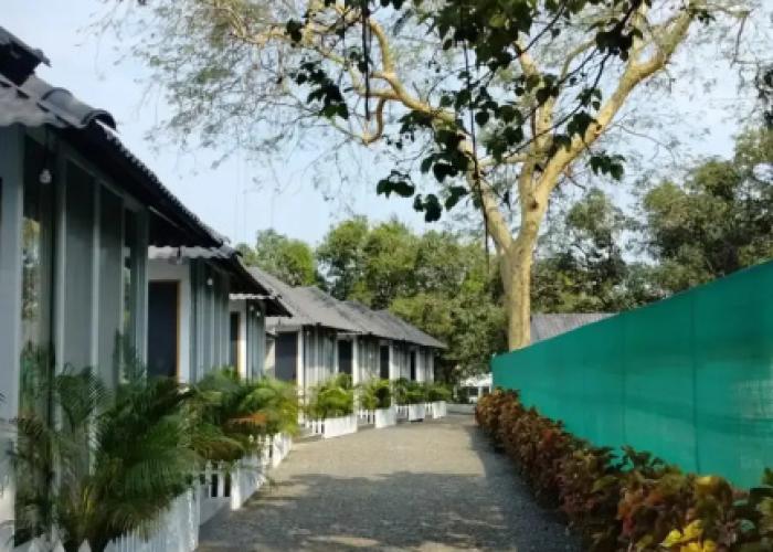 Nature's Cove Resort
