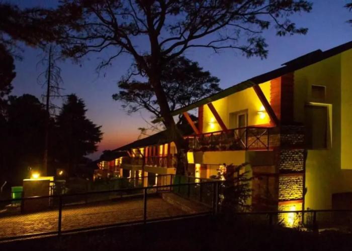 Lamrin Norwood Green Palampur